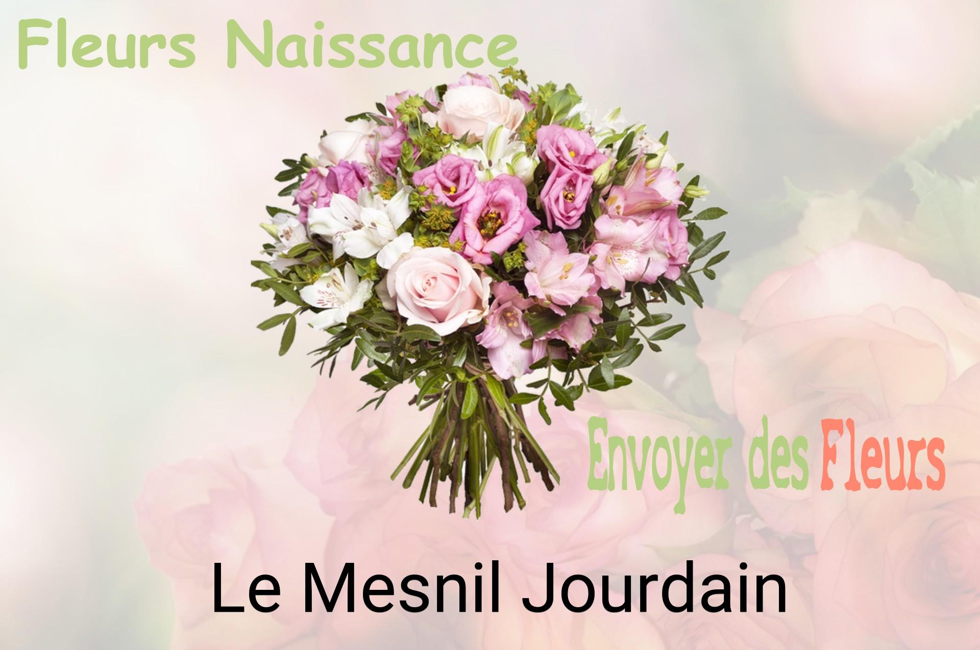 Bouquet de fleurs de naissance livré à Le Mesnil-Jourdain